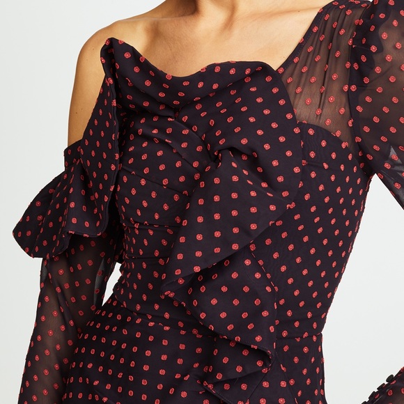 Self-Portrait Ruffled-Trimmed Embroidered Dress with floral embroidery - Picture 6 of 6